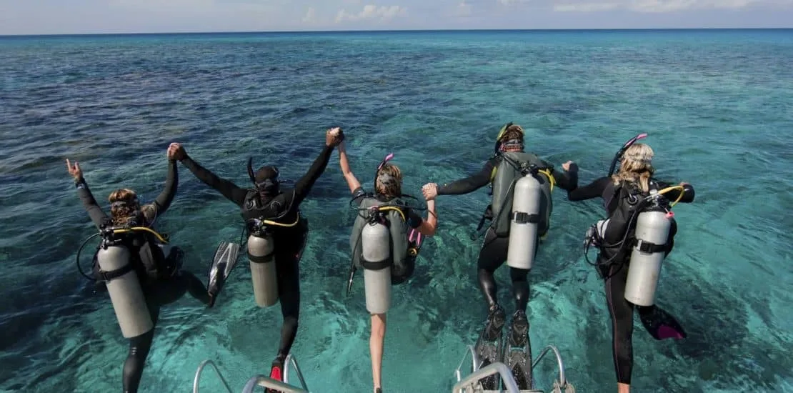 How To Become A Better Diver 2026 How To Become A Better Diver 2026