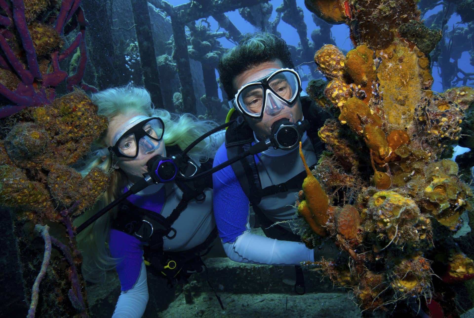 What Gear Do You Need to Scuba Dive? A1 Scuba Diving And Snorkeling
